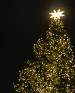 Christmas Tree Lighting at LaBelle Winery Amherst 2023