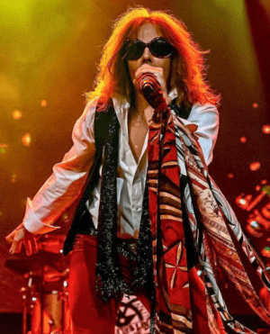 Draw The Line: Aerosmith Tribute Concert (Derry)