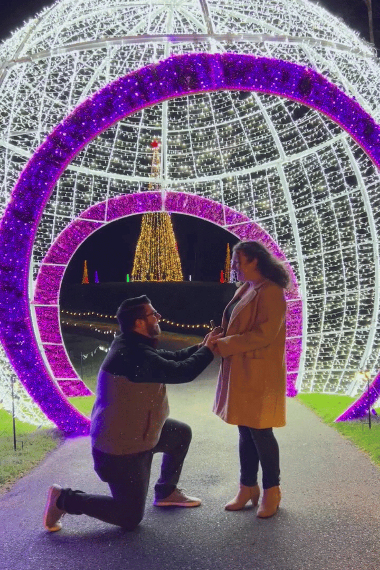 labelle-lights-proposal-ball