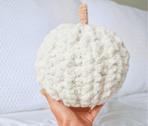 Chunky Knit Stuffed Pumpkin DIY Workshop (9/24/25 - Amherst)