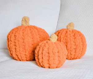 Chunky Knit Stuffed Pumpkin DIY Workshop (9/24/25 - Amherst)
