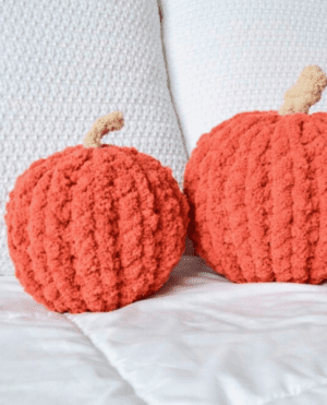Chunky Knit Stuffed Pumpkin DIY Workshop (9/24/25 - Amherst)