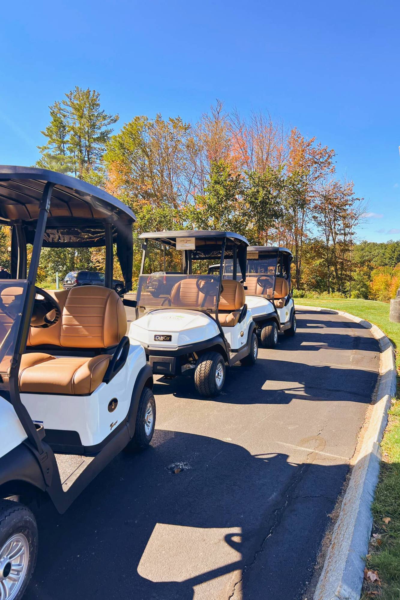 the links at labelle golf carts nh golf course fall