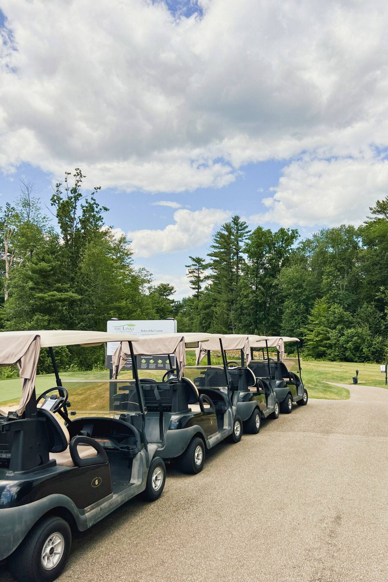 the links at labelle golf carts nh golf course