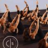 Outdoor Pilates Class at the Vineyard (8/23/25 - Amherst)