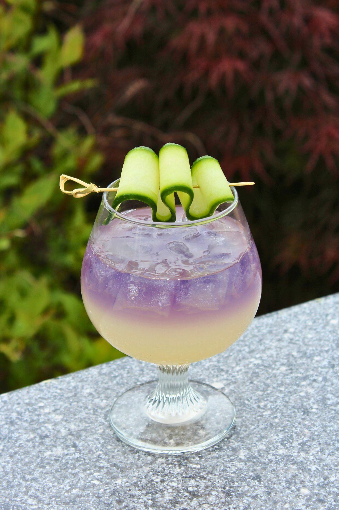 cucumber mint cocktail americus restaurant