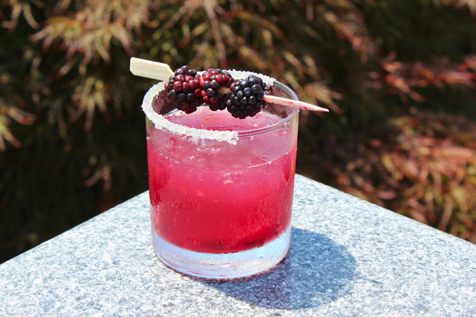 Blackberry Inferno at labelle winery at americus  fall menu
