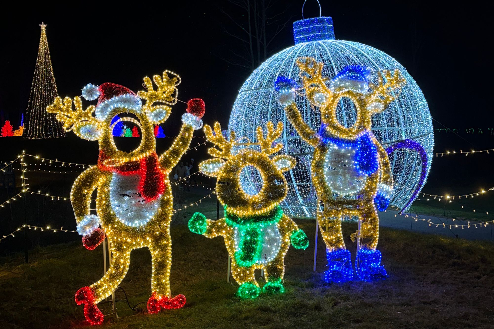 ights display at labelle lights derry nh (2)