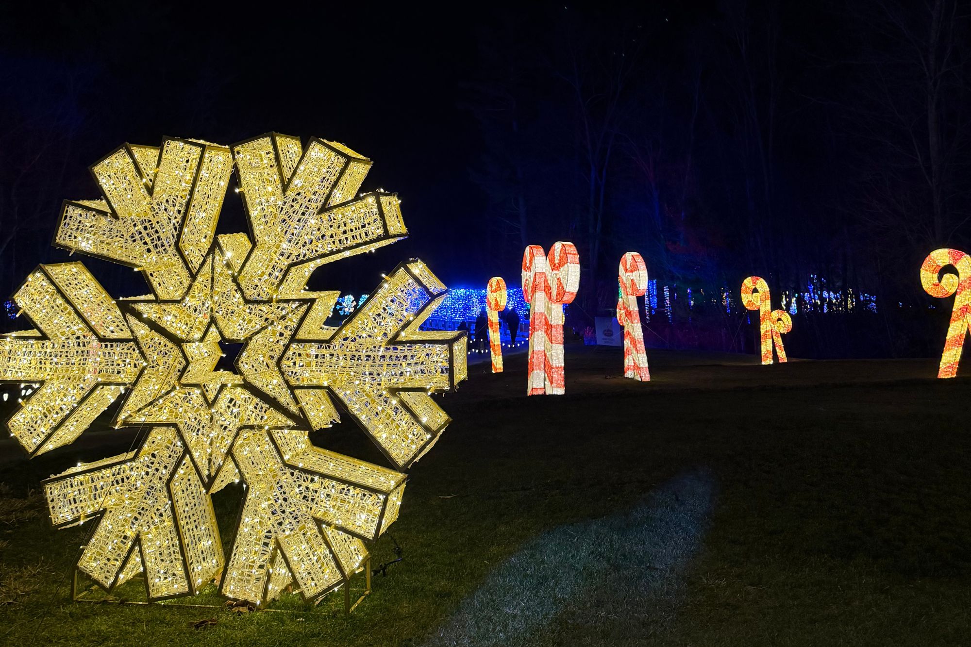 ights display at labelle lights derry nh