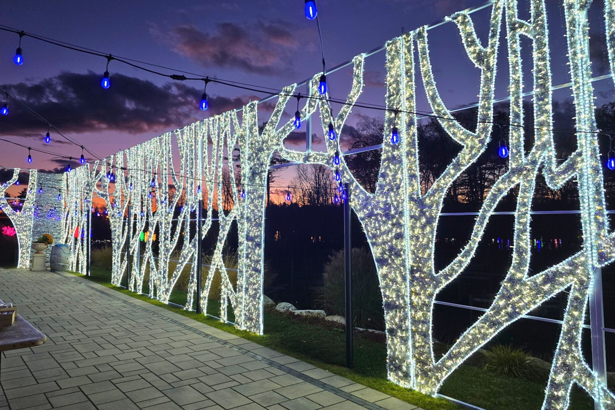 labelle lights tasting room lounge display at labelle winery in derry nh