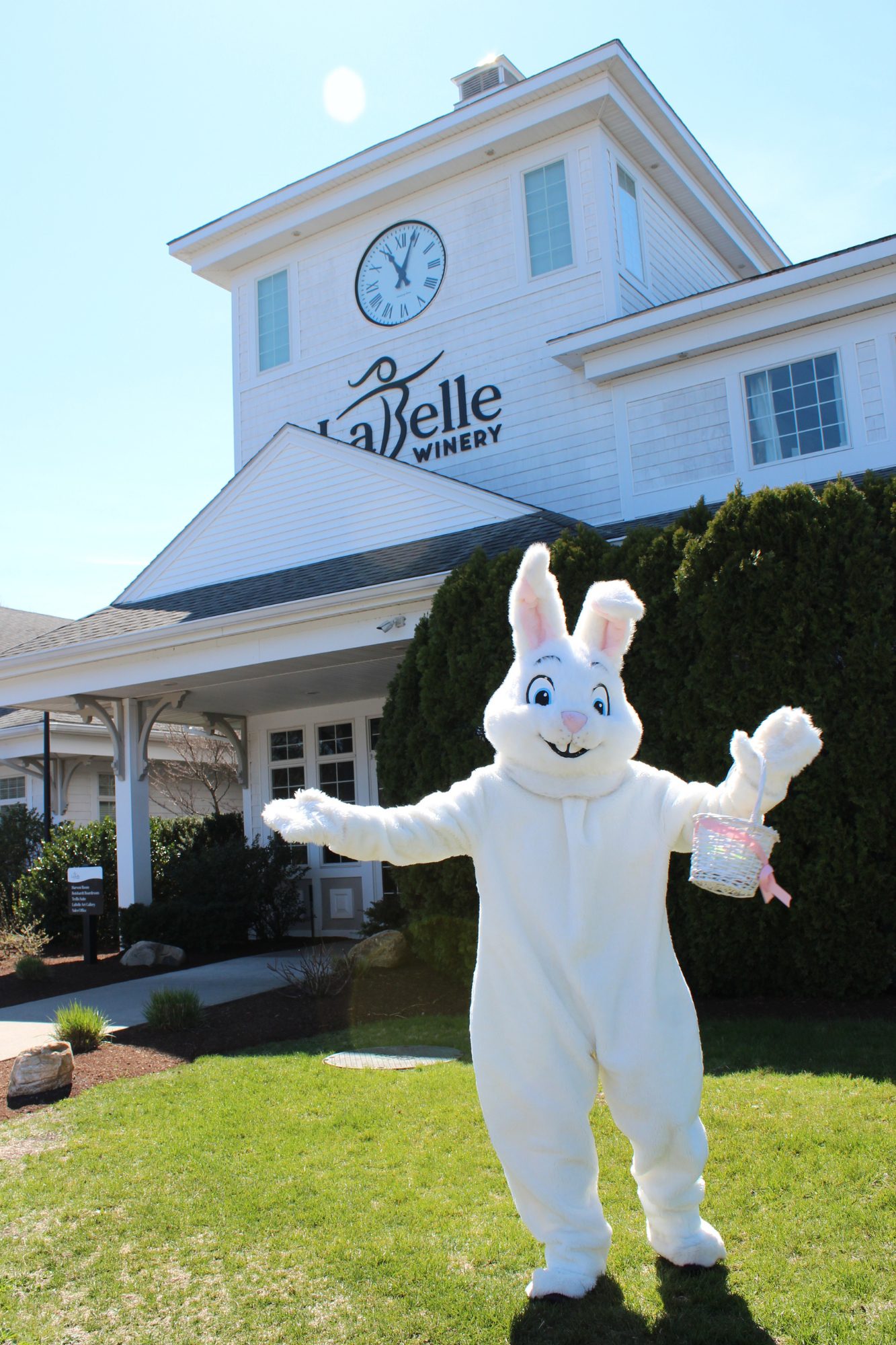 easter bunny at labelle winery derry