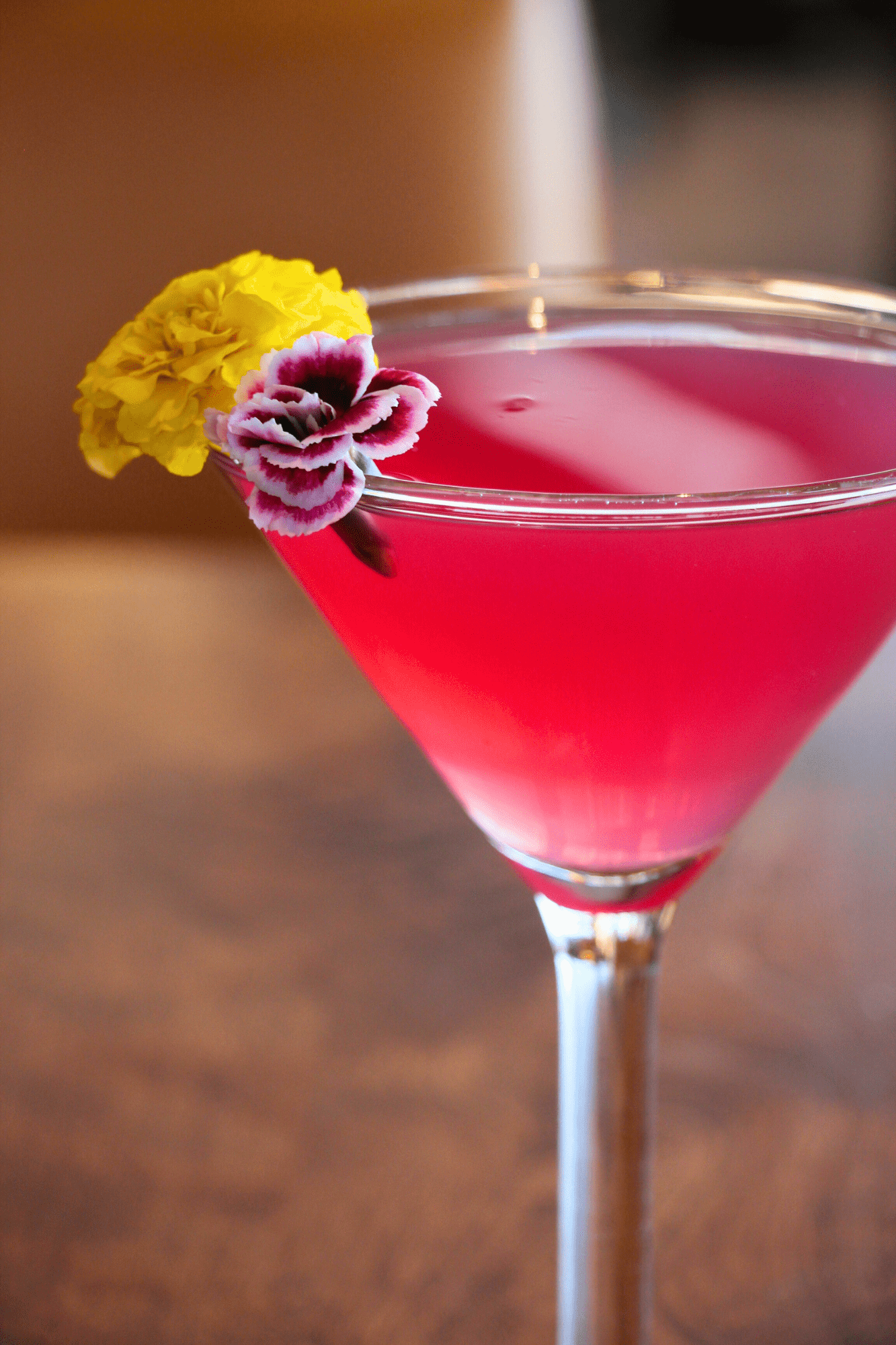 pink ember martini americus restaurant