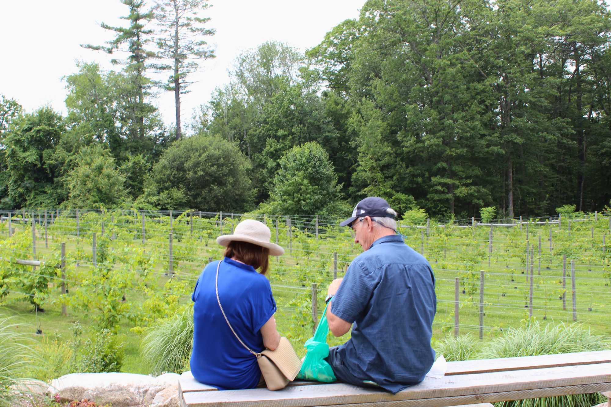 enjoy the outdoors in nh labelle winery celebrate
