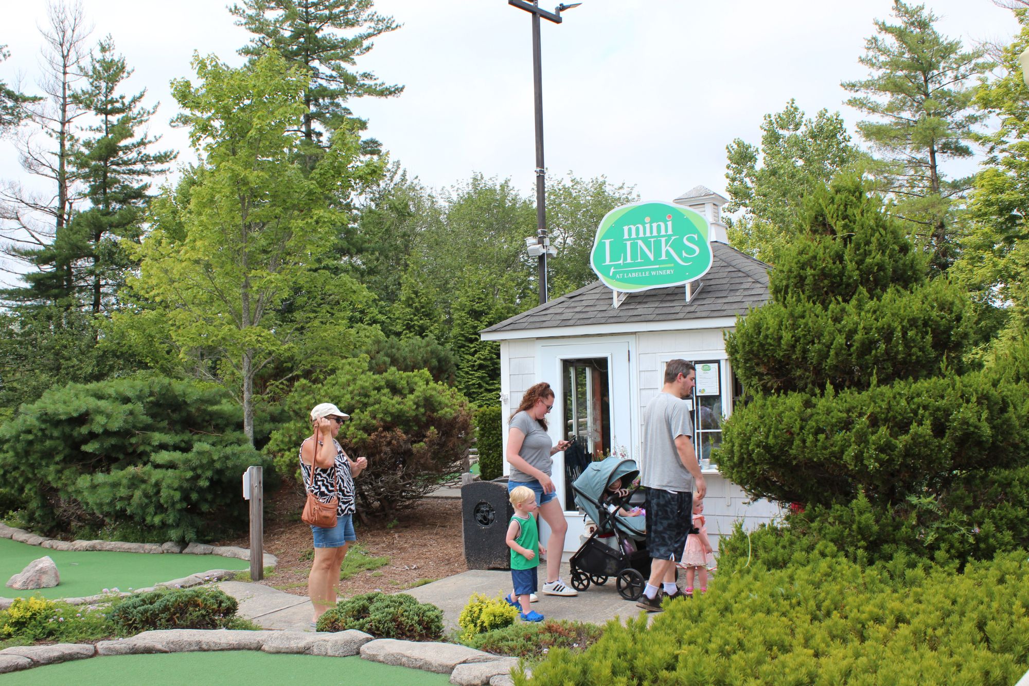 mini links family fun celebrate