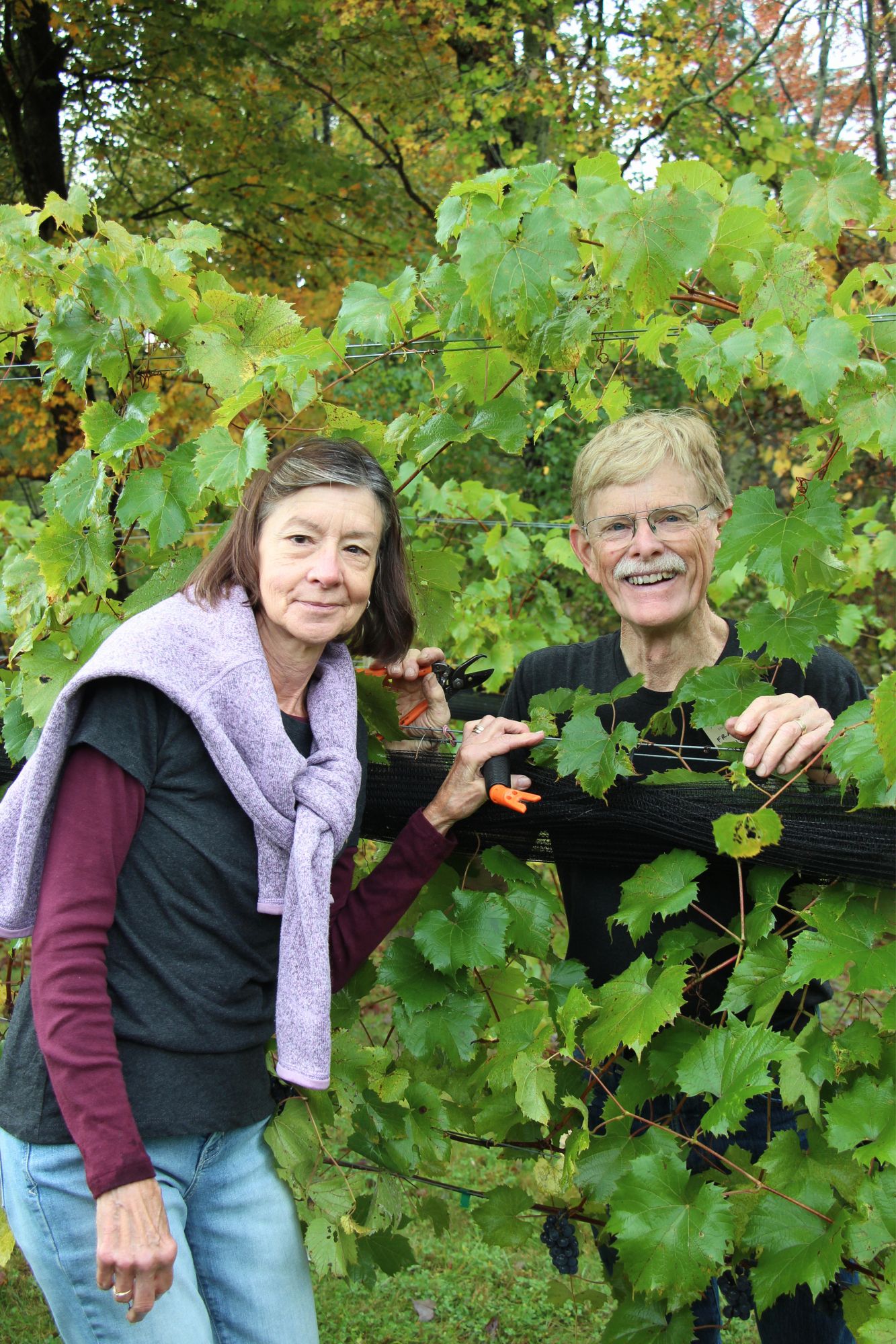 winery club memberships in nh celebrate