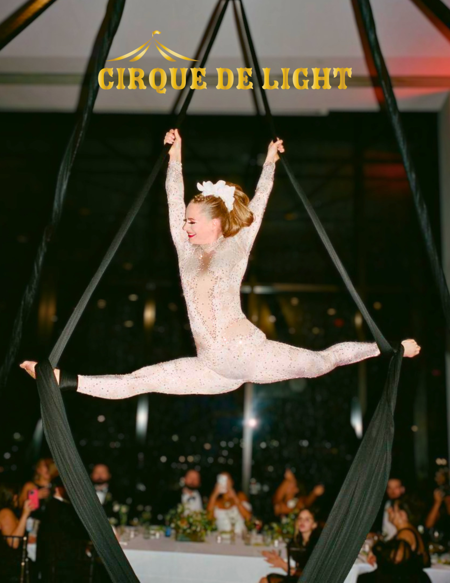 Roaring 20s Dinner Party with Cirque De Light Aerialist (9/27/26 - Amherst)