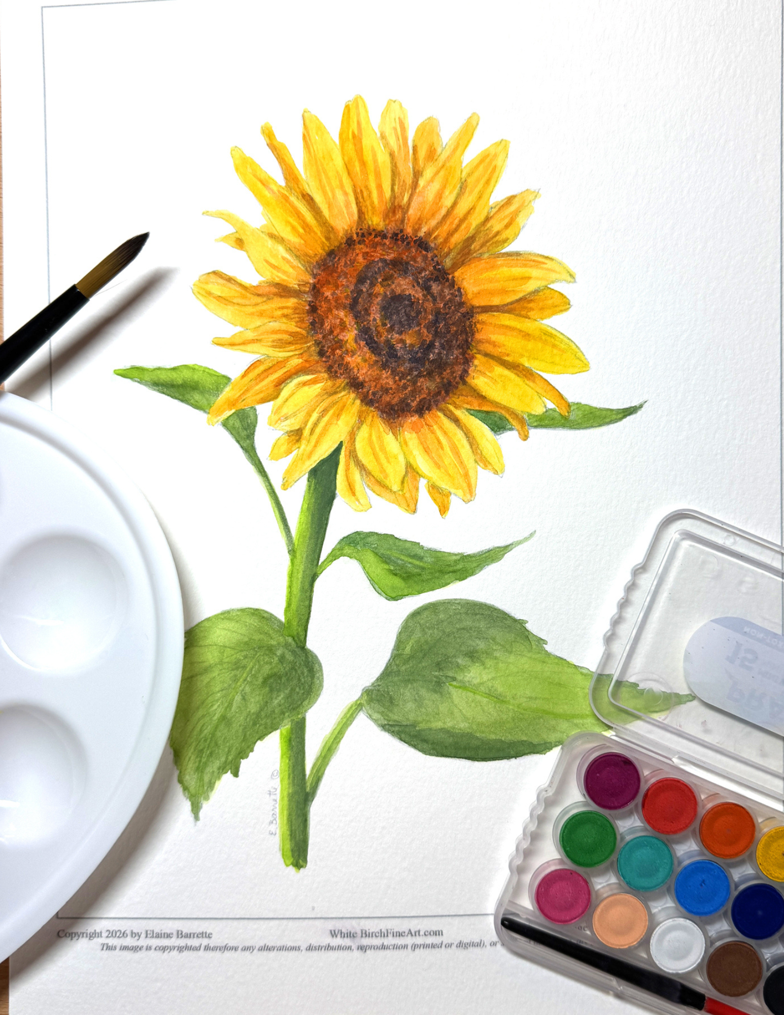 Paint & Sip Class: Sunflower Watercolor Painting (9/16/26- Amherst)