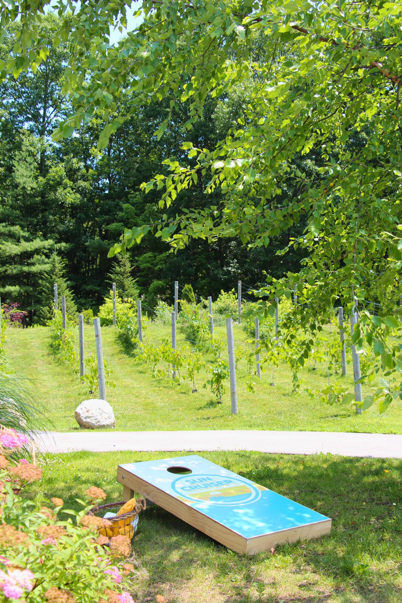 labelle wienry derry tasting room nh winery summertime 2