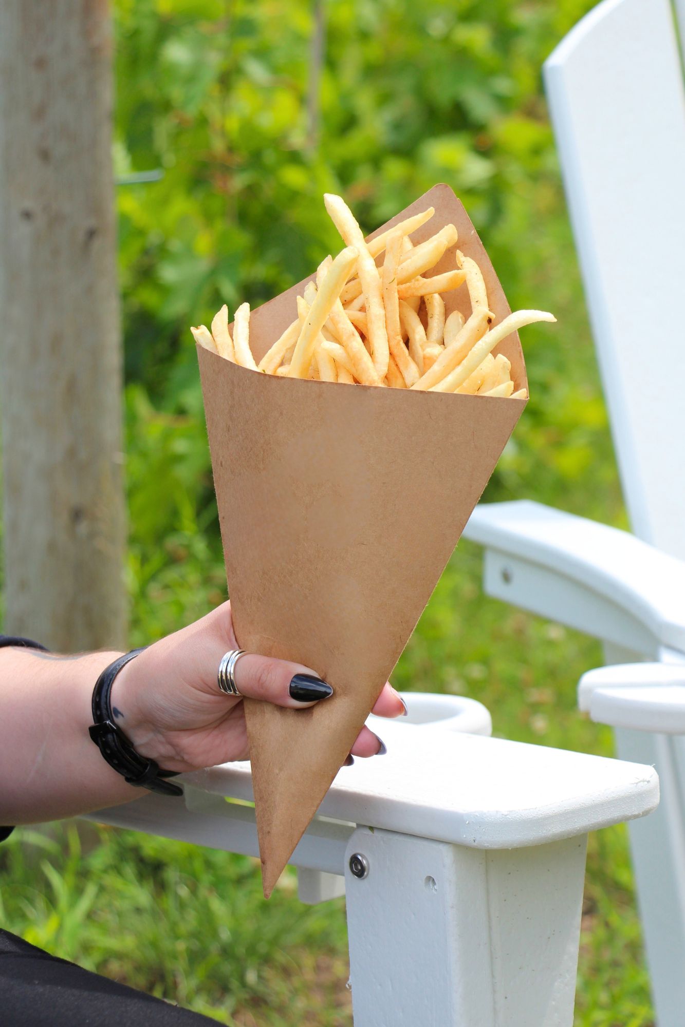 the winemakers kitchen food truck derry nh frites cone