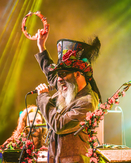 Bearly Dead: Grateful Dead Tribute Concert (10/29/26- Derry)
