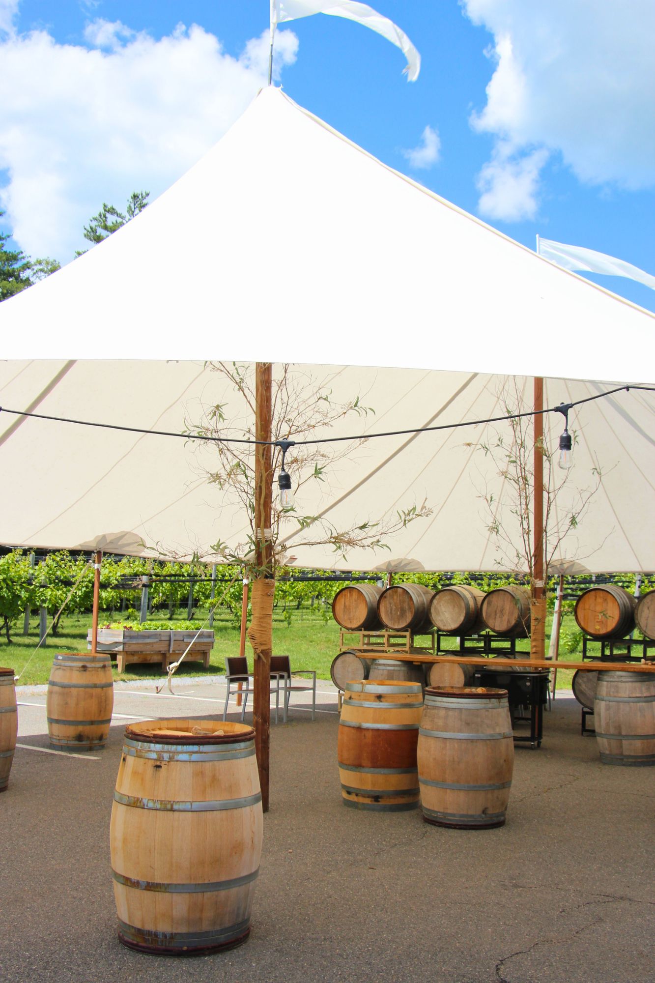 labelle winery amherst nh outdoor wine tasting space
