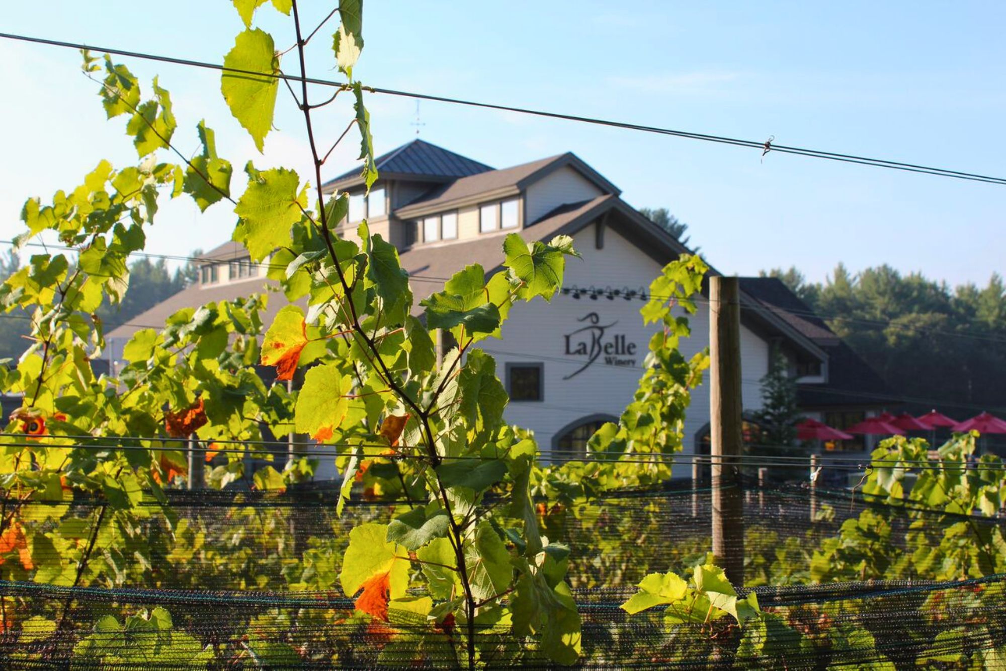 labelle winery amherst vineyards and tasting room in new hampshire