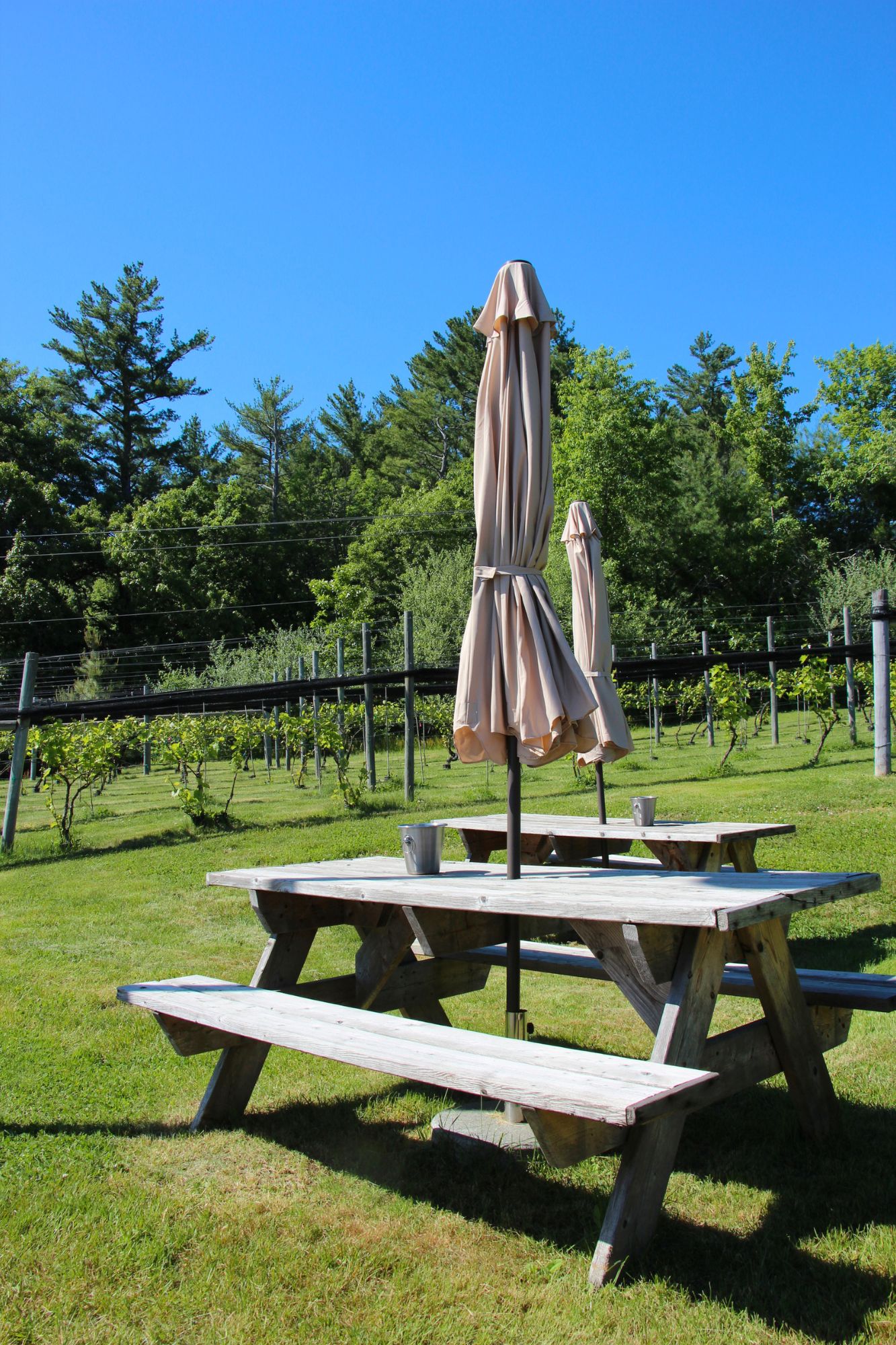 outdoor seating at labelle winery amherst nh tasting room 2