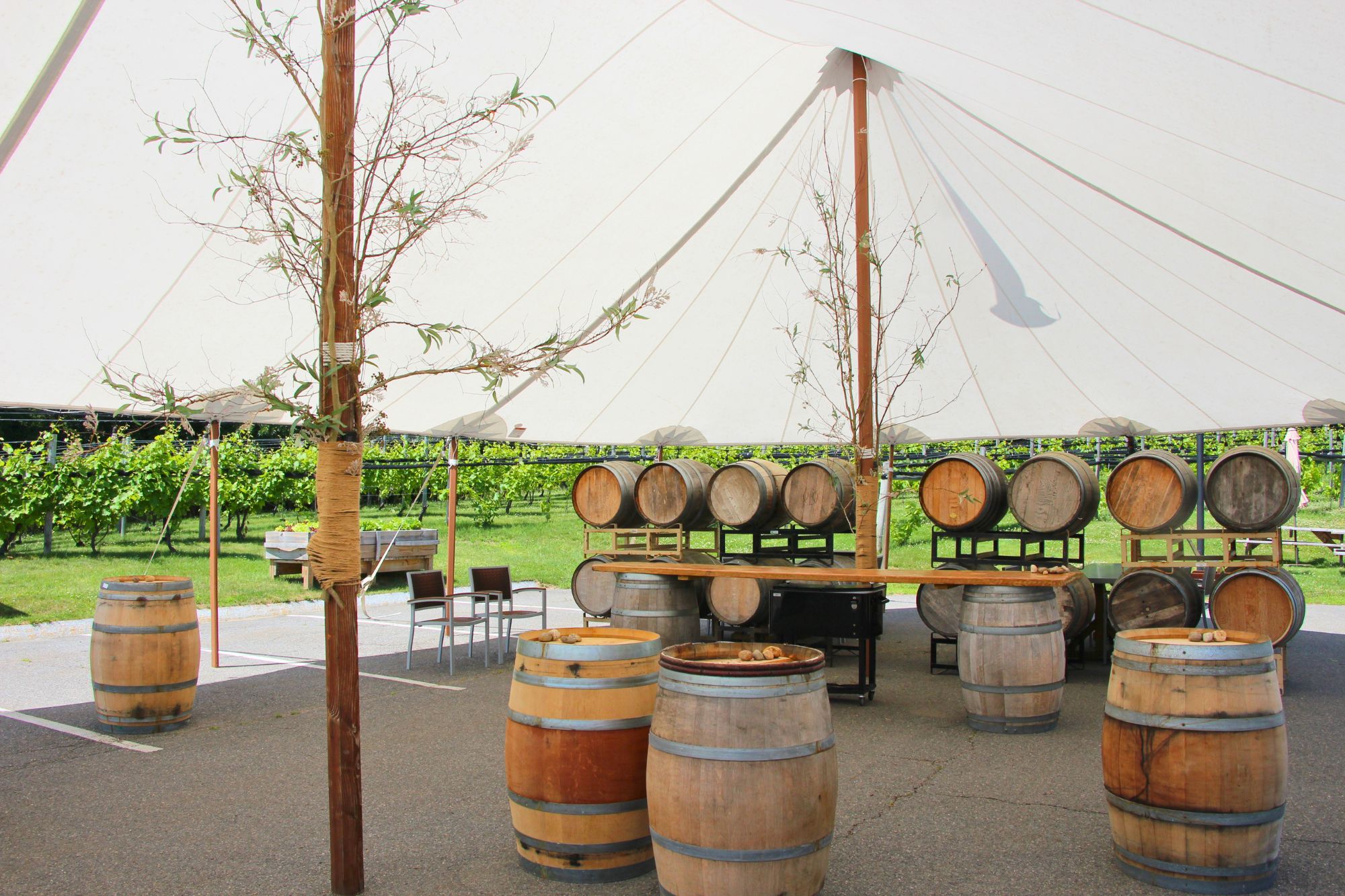 outdoor wine tasting space labelle winery amherst tasting room nh